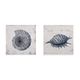 Bassett Mirror Shell I Wall Art-3