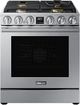 Dacor® Transitional 30" Stainless Steel Pro Style Dual Fuel Range-1