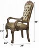 ACME Furniture Dresden 2-Piece Bone/Gold Patina Arm Chair Set-2