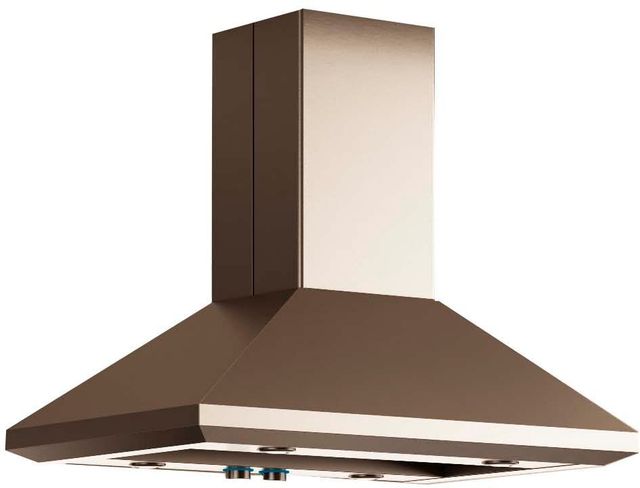 Elica Pro Series Leone Island 42" Stainless Steel Island Range Hood-0