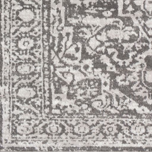 Surya Monte Carlo Light Gray 3'x7' Runner Rug-2