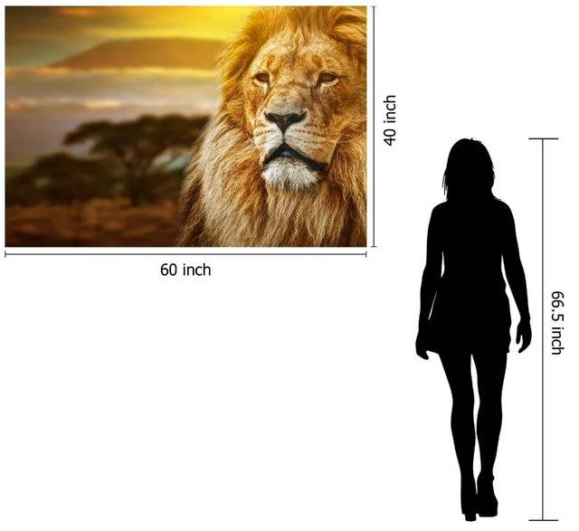 Classy Art Lion Safari Wall Art-2