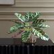 Uttermost® Peacock Green Plant Accent-2