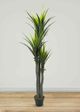 Le Present Dracaena Green Faux Botanical-3