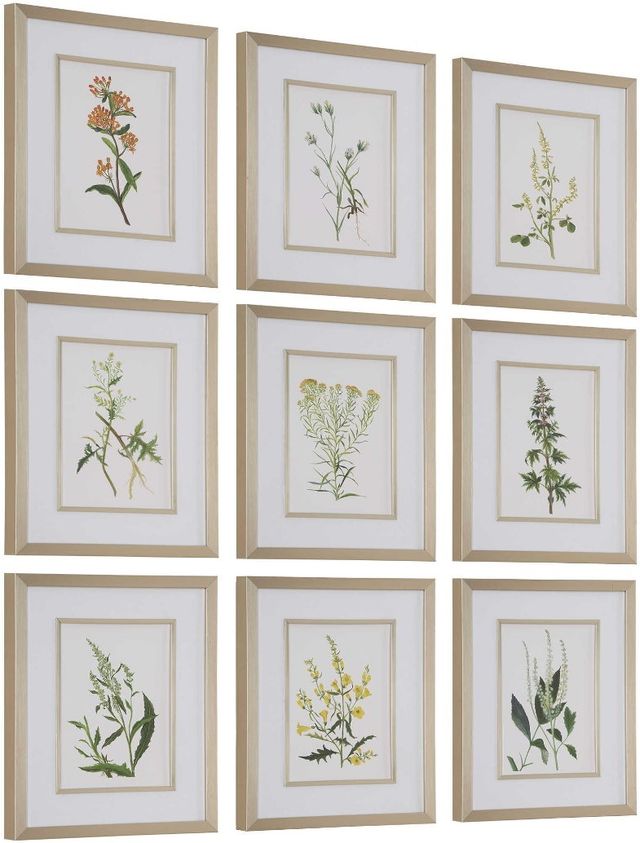 Uttermost® Botanical Flowers 9-Piece Framed Prints Set-3