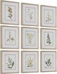 Uttermost® Botanical Flowers 9-Piece Framed Prints Set-3
