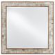 Currey & Company Hyson Chiseled Horn/Natural Mirror-0