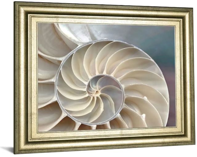 Classy Art Beige Nautilus by Levine, A. Wall Art-1