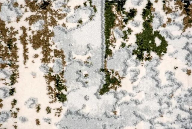 Renwil® Ariella 3'x5' Style 6 Area Rug-1
