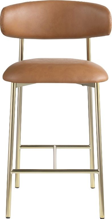 Meridian Furniture Lupita Cognac/Brushed Gold Counter Stool-1