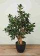 Le Present Jade Green 31" Faux Botanical Plant-2