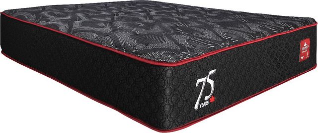 Springwall® True North Chiropractic® 13" Pocketed Coil Medium Plush Tight Top Queen Mattress in a Box