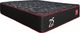Springwall® True North Chiropractic® 13" Wrapped Coil Medium Plush Tight Top Queen Mattress in a Box-0