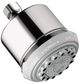 Hansgrohe Clubmaster Chrome Showerhead-0