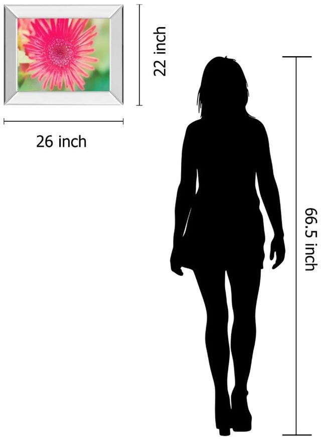 Classy Art Pink Gerbera by Susan Bryant Mirror Framed Wall Art-3
