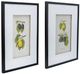 A & B Home 2-Piece Botanical Wall Art Set-0