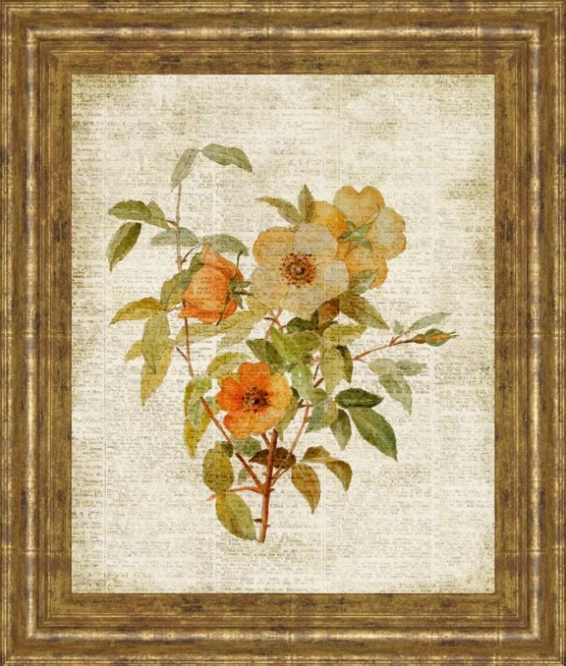 Classy Art Beige/Tan Roses on Newsprint I by Lanie Loreth Framed Print Wall Art-0
