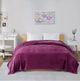 Olliix by Intelligent Design Microlight Plush Purple Twin/Twin XL Oversized Blanket-4