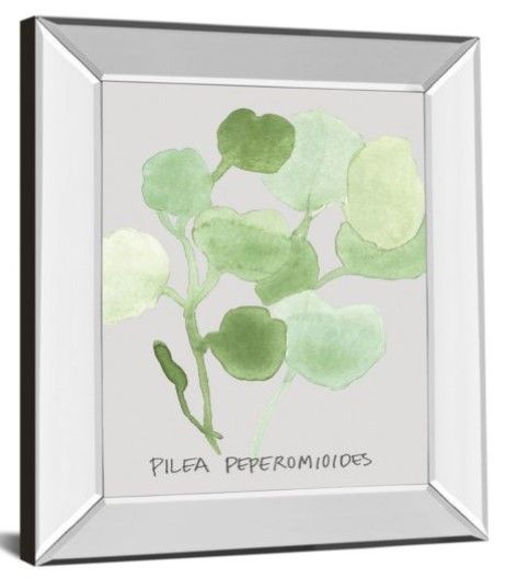 Classy Art Pilea Peperomioides by Katrien Soeffers Mirror Framed Wall Art-1