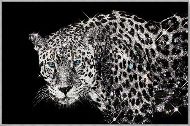 Classy Living Untamed Glossy Framed Leopard with Rocks Wall Art-0