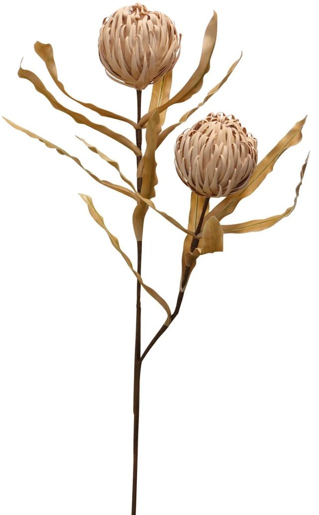 Harp & Finial® Thistle Stem Brown Foam Floral-0