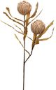 Harp & Finial® Thistle Stem Brown Foam Floral-0