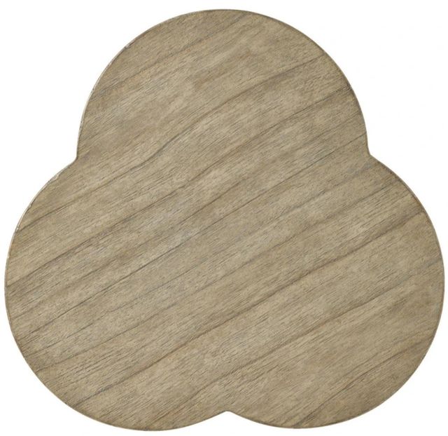 Lexington Home Twilight Bay Bailey Driftwood Chairside Table-2