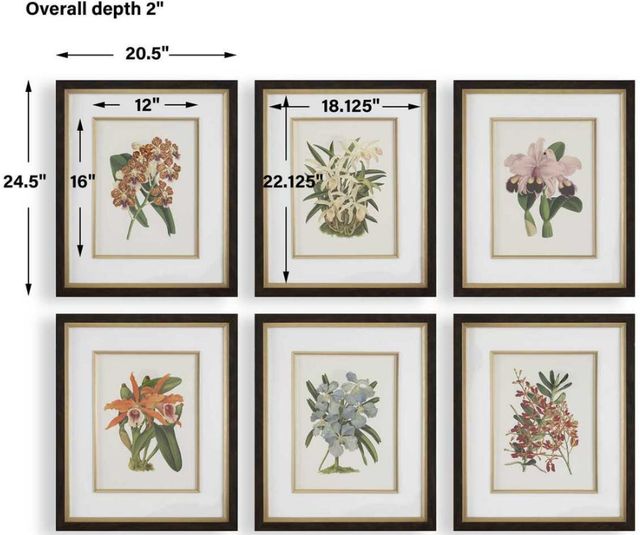 Uttermost® Orchid Botanical 6-Piece Framed Print Art Set-2