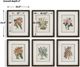 Uttermost® Orchid Botanical 6-Piece Framed Print Art Set-2
