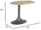 Nest Home Collections Pods Gray Washed Large End Table with Black base-4