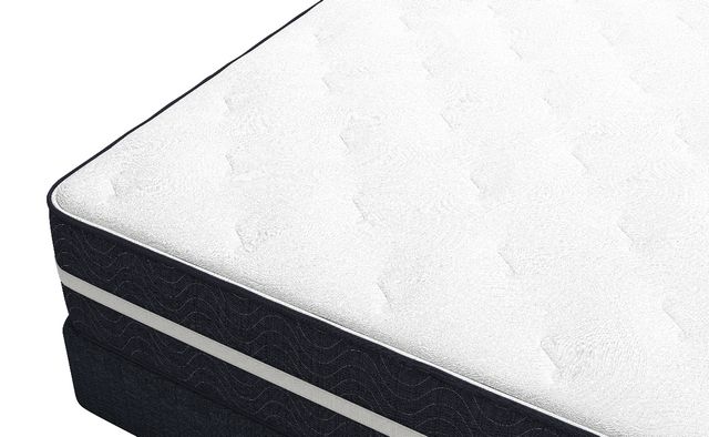 Southerland™ Gardner Plush Top Queen Mattress-3