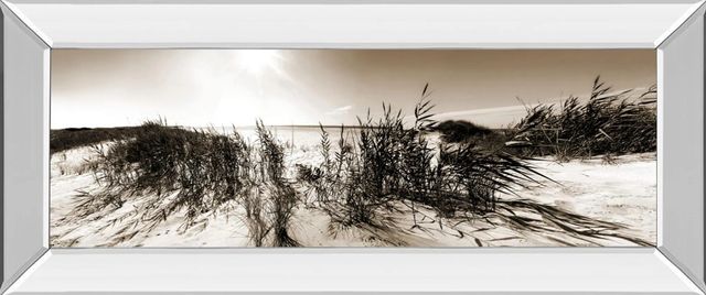 Classy Art The Wind in the Dunes I by Noah Bay Wall Art-0