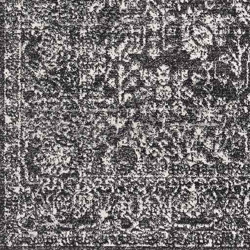 Surya Harput Black 5'x7' Area Rug-2