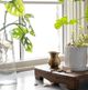 Magnolia Home by Joanna Gaines Gaston Clear Vase-2