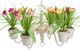 A & B Home White Flower Pot Chandelier-1