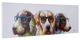 YHD Cool Dogs Wall Art-2