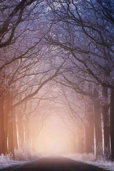 Classy Art Warm and Cold by Martin Podt Wall Art-0