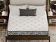 Marvino Plush King Mattress-2
