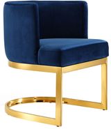Navy-Gold