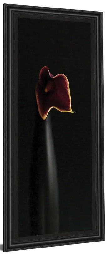Classy Art Black/Red Calla In Ebony By Steven Mitchell Wall Art-0