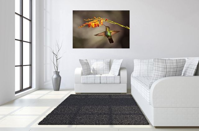 Classy Living Flutter Wall Art-1