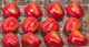 A & B Home Red Faux Bell Pepper-0