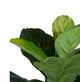 A & B Home Green 5' Artificial Fiddle-Leaf Fig Tree-1