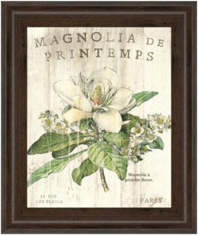 Classy Living Sue Schlabach Magnolia De Printemps Wall Art-0
