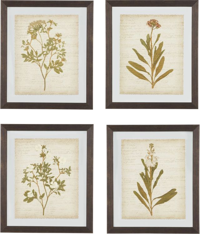 Signature Design by Ashley® Dyani 4-Piece Wall Art Set-0