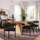 TOV Furniture Spara Black Dining Side Chair-1
