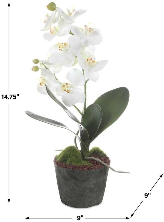 Uttermost® Laris Black/Green/White Orchid-3