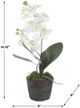 Uttermost® Laris Black/Green/White Orchid-3