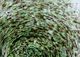 A & B Home Clear/Green 10" Vase-5