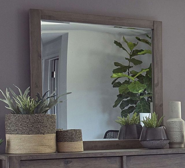 Coaster® Oakridge Smokey Mountain Dresser Mirror-1